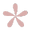 Amorelia logo